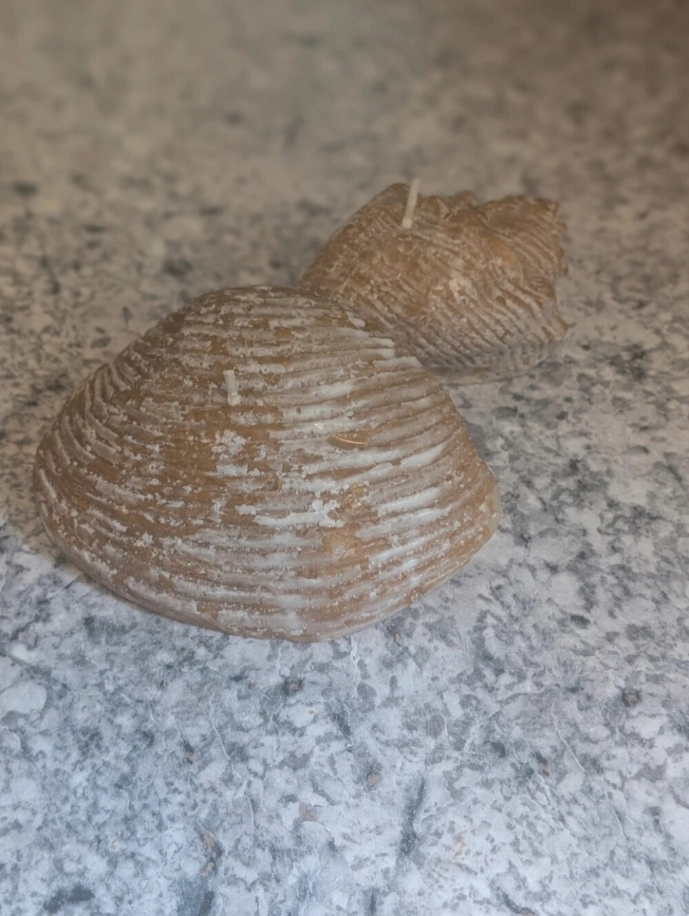 Sea Shell Candles 🐚 - Picture 5 of 5